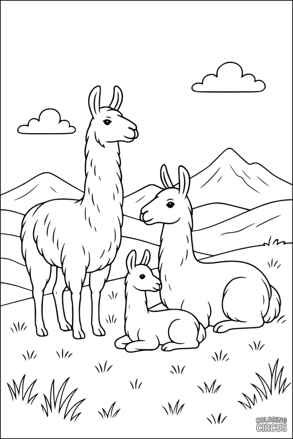Coloring page with three llamas relaxing on grassy hills with mountains and clouds in the background