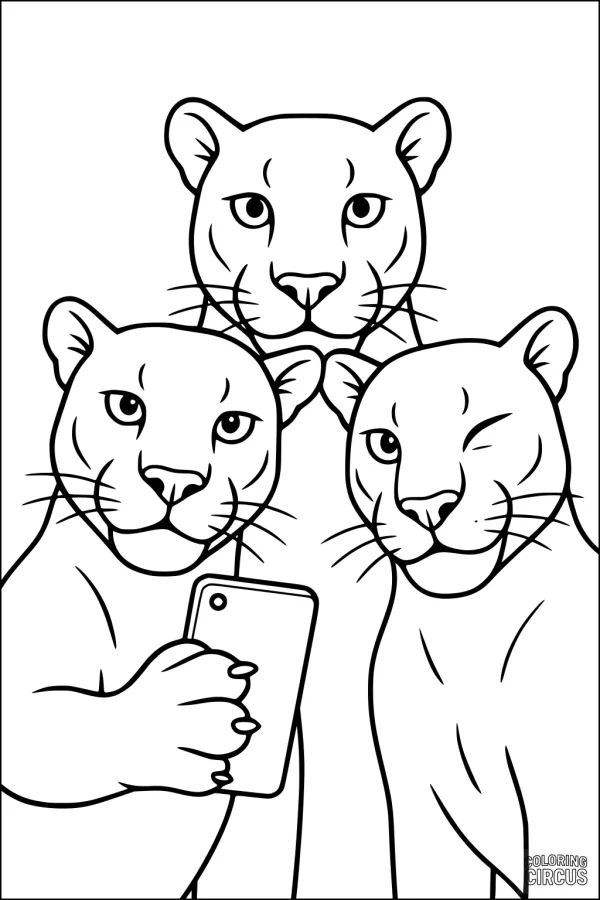 Coloring page showing three panthers taking a selfie together