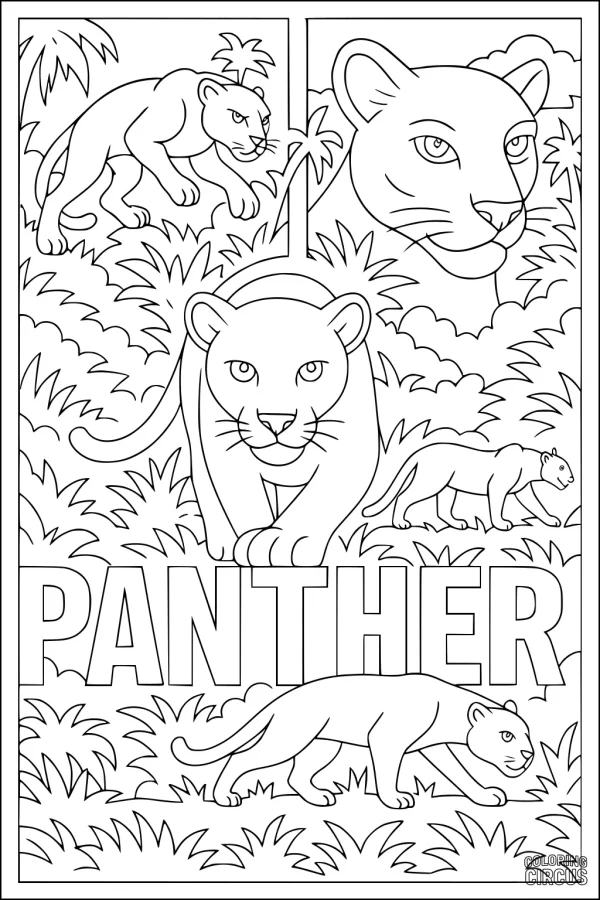 Coloring page with several panthers in a jungle setting, surrounded by leaves and grass with the word panther