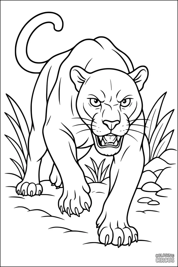 Coloring page of a prowling panther in a jungle with grass and rocks