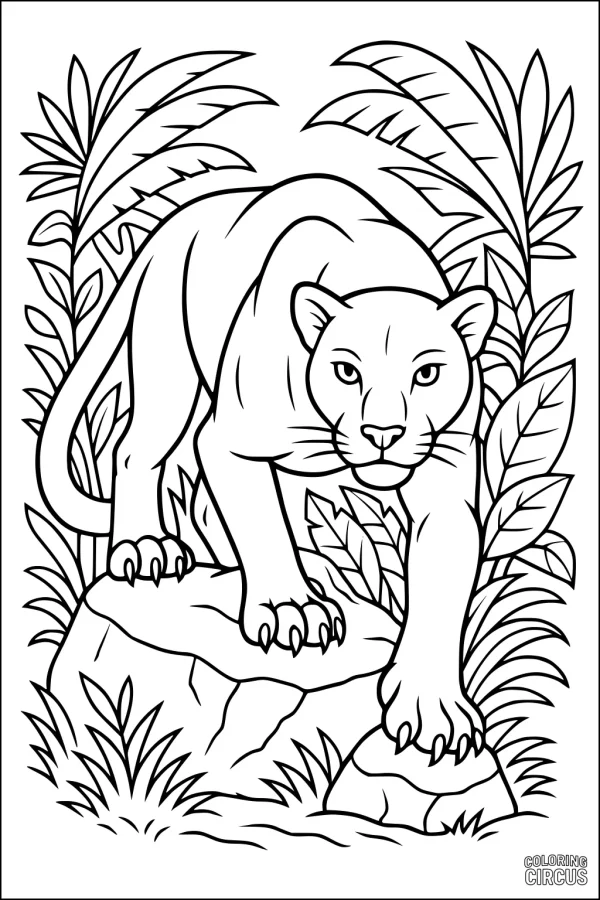 Coloring page of a panther walking on rocks surrounded by jungle plants