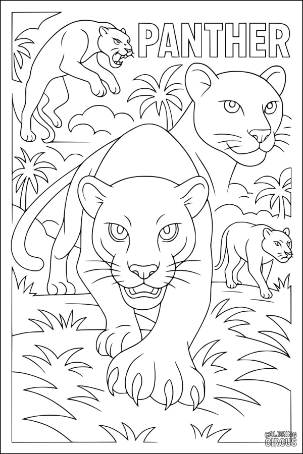 Coloring page featuring multiple panthers in a jungle with palm trees and grass