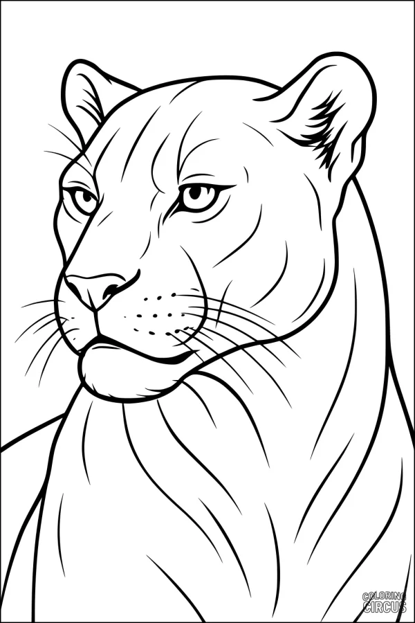 Coloring page of a calm panther with detailed facial features for kids