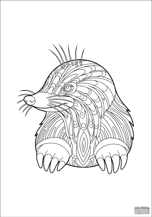 Coloring page featuring a stylized mole with intricate decorative patterns