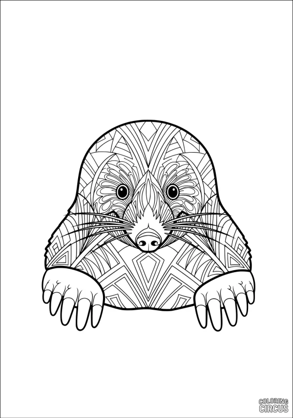 Coloring page featuring a patterned mole with artistic geometric designs