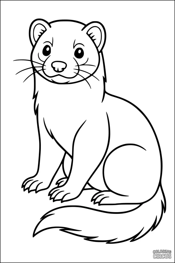 Coloring page featuring a cheerful sitting ferret for kids