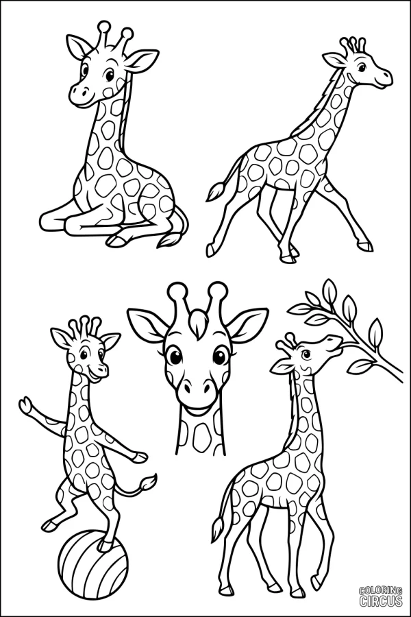 Coloring page with five cute giraffes in playful poses