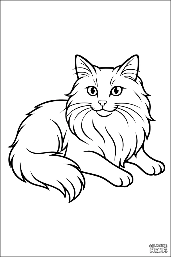 Coloring page of a fluffy cat lying down with long fur and gentle expression
