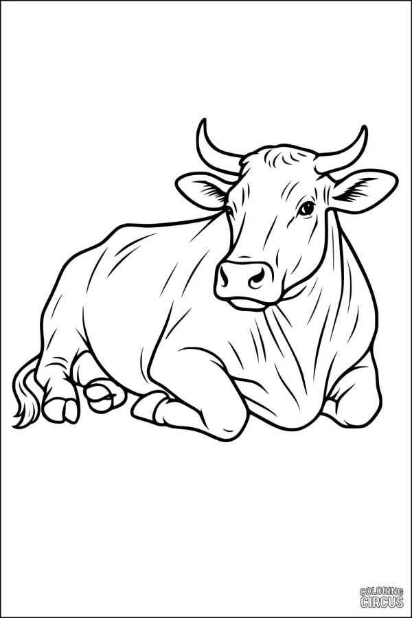 Coloring page featuring a relaxed cow lying on the ground, suitable for children