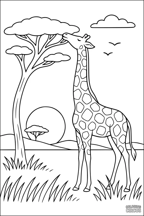 Coloring page showing a giraffe eating leaves from a tree in the savanna with grass, clouds, and the sun in the background.