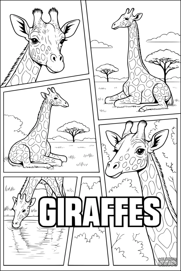Coloring page featuring cartoon giraffes relaxing and drinking water on the savanna with trees and clouds.