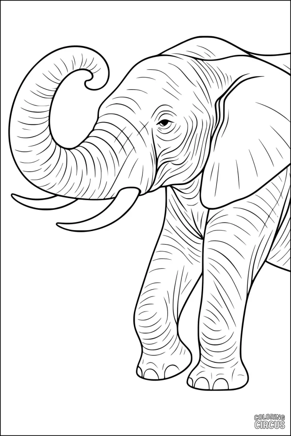 Coloring page of a realistic elephant with detailed wrinkles and tusks