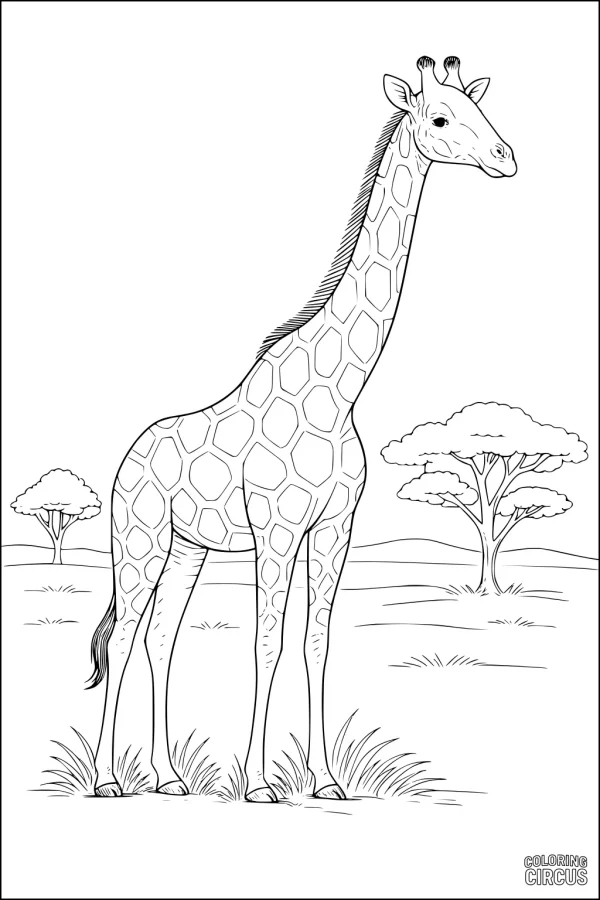 Coloring page of a giraffe standing in grassy savannah with trees and rolling hills in the background