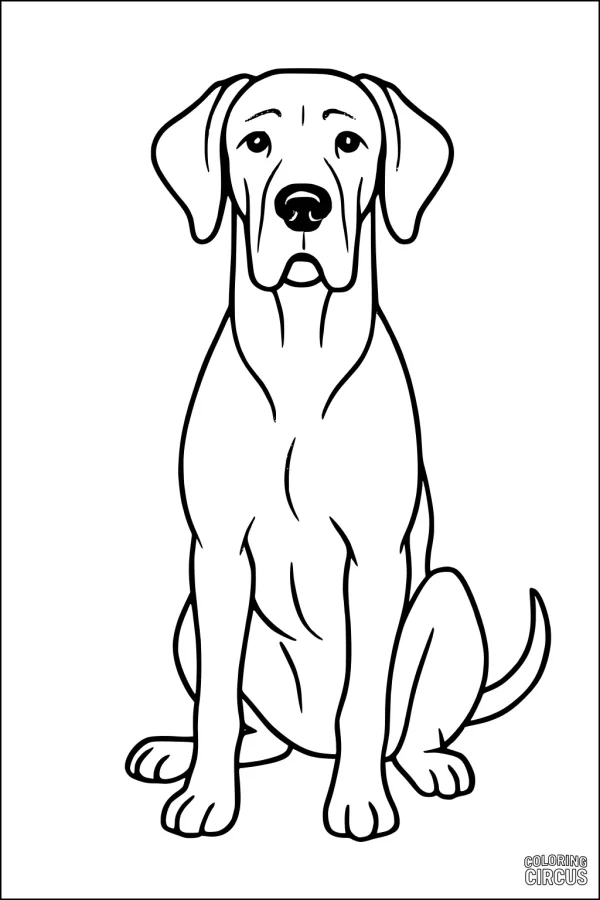 Coloring page of a friendly dog sitting patiently