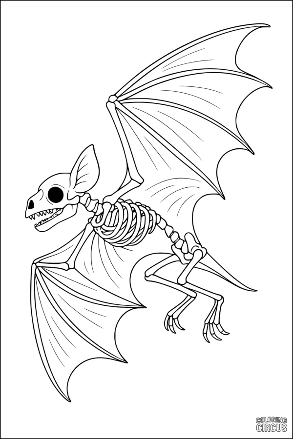 Coloring page featuring a skeleton bat with outstretched wings in flight, designed for intermediate level children