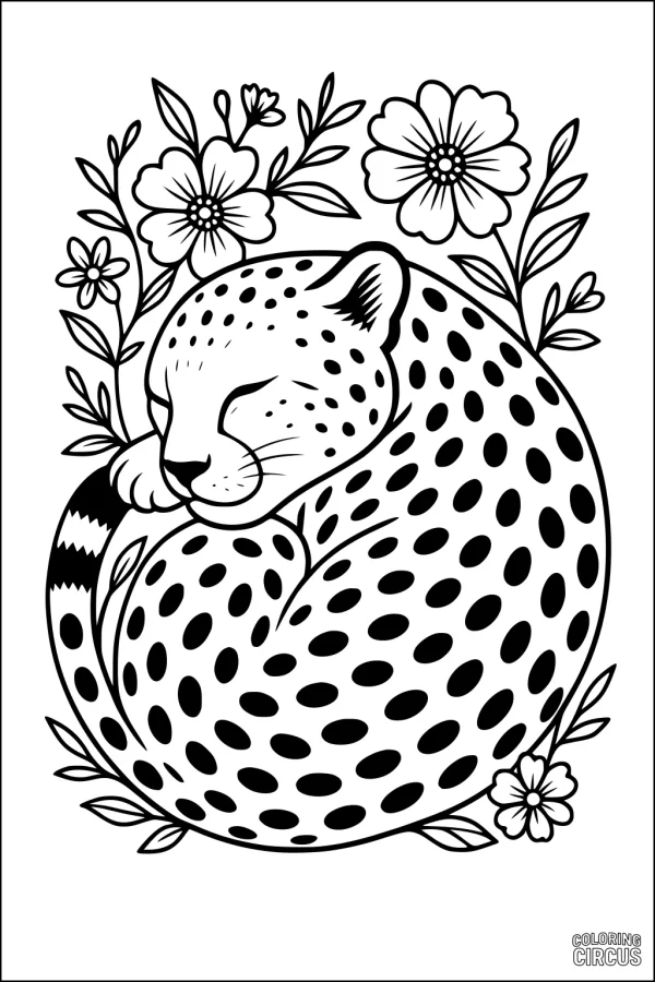 Coloring page showing a sleeping cheetah curled up among wildflowers