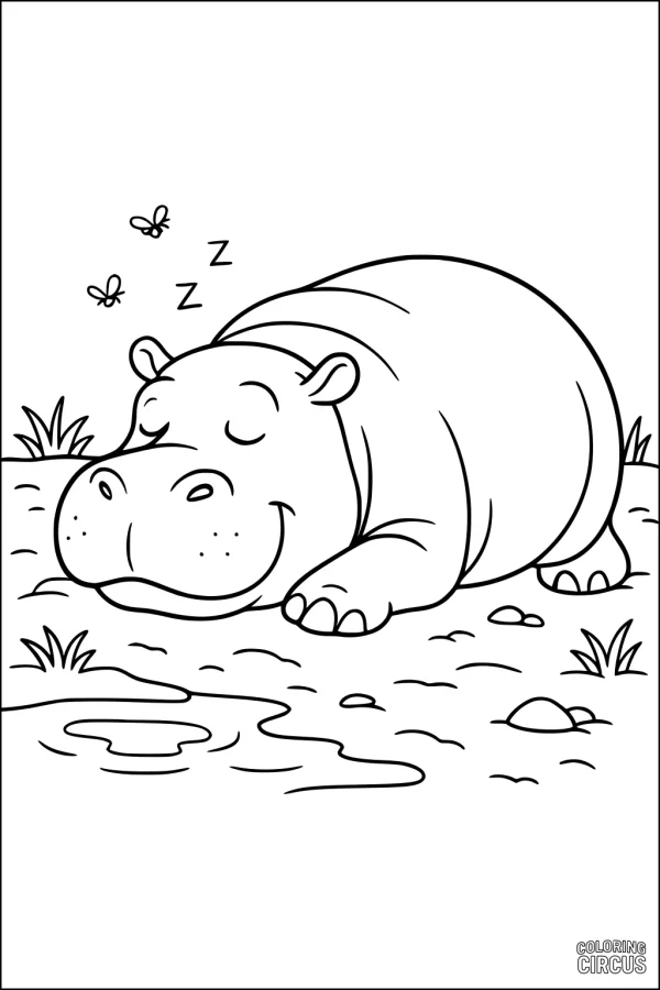 Coloring page showing a cute hippopotamus sleeping beside a pond with dragonflies and grass