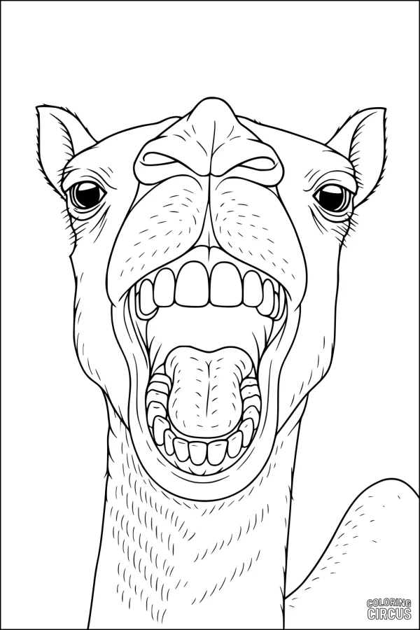 Coloring page showing a cheerful camel smiling with an open mouth and big teeth