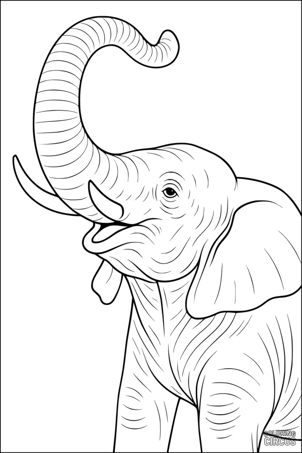 Coloring page of a happy elephant with raised trunk