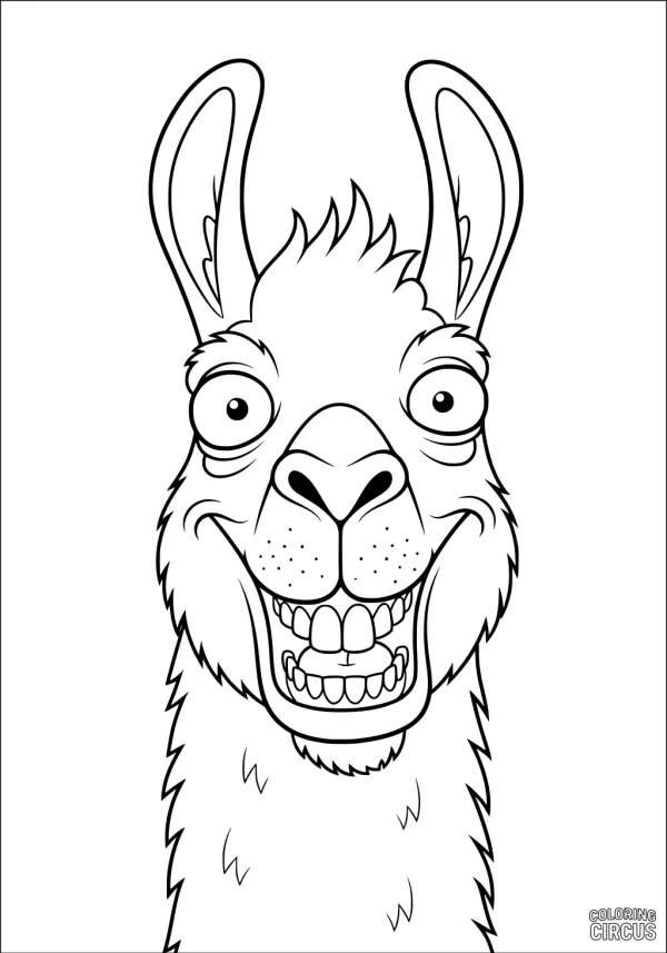 Coloring page featuring a friendly cartoon llama with a big smile and fluffy fur