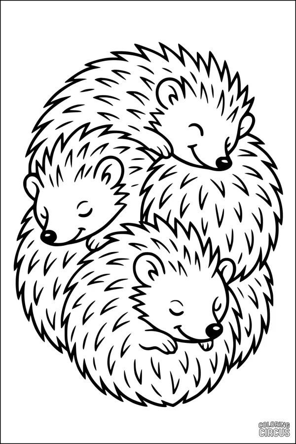 Coloring page with three cute hedgehogs cuddling together in a peaceful circle, perfect for young children