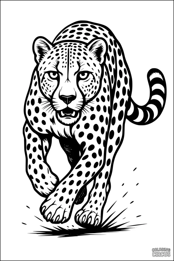 Coloring page of a running cheetah with detailed spots and fur