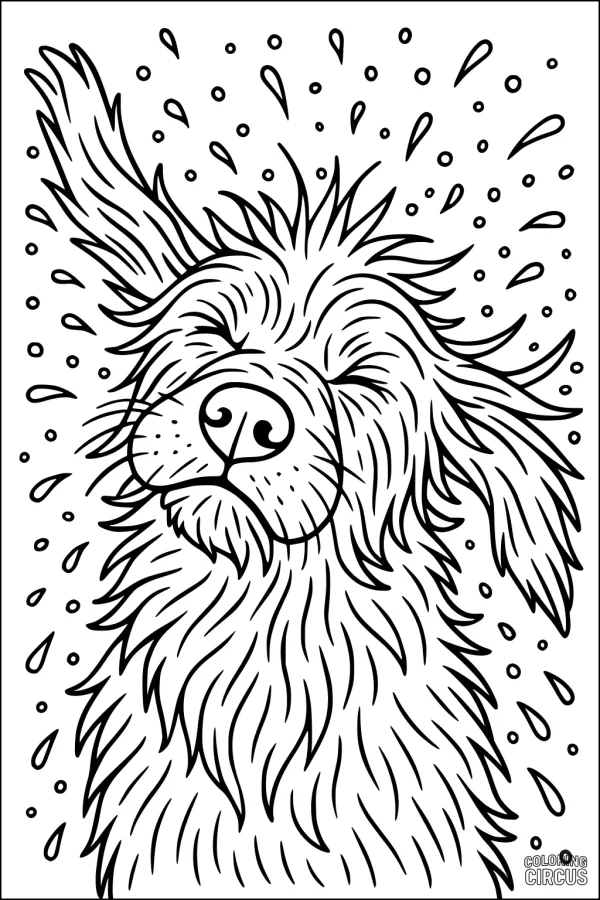 Coloring page with a fluffy dog shaking off water droplets
