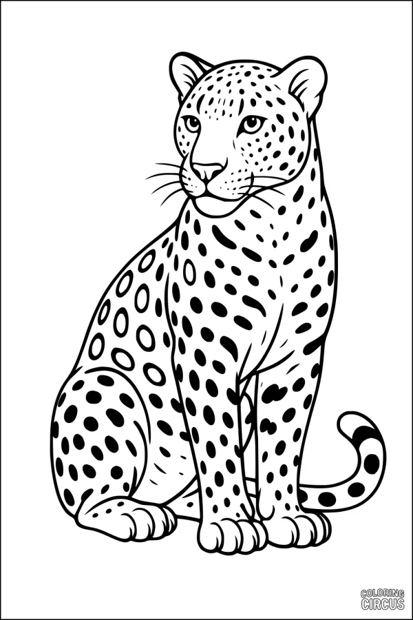 Coloring page of a sitting leopard with distinct spots, suitable for children