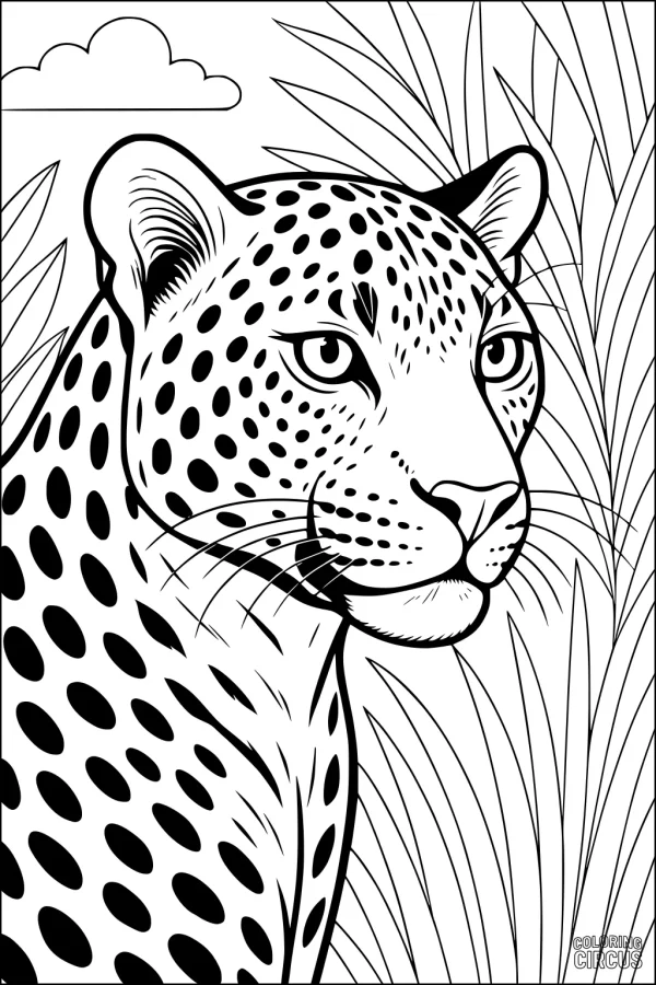 Coloring page featuring a leopard sitting in tall grass with a cloud in the sky