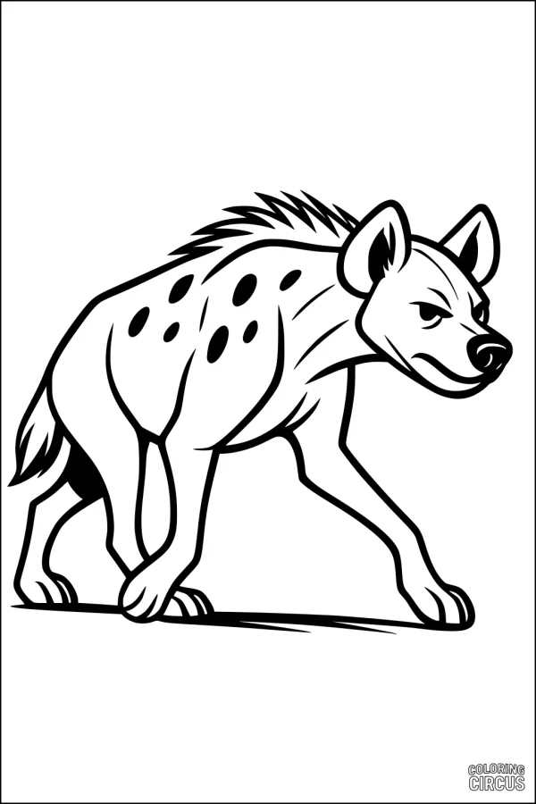 Coloring page of a spotted hyena walking and looking alert