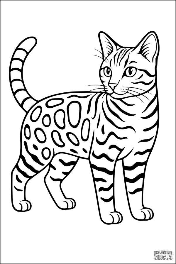 Coloring page of a striped and spotted cat standing upright, with detailed fur patterns