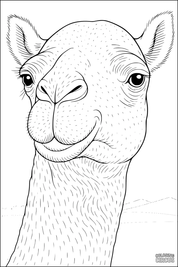 Coloring page showing a detailed, friendly camel's face in a desert landscape