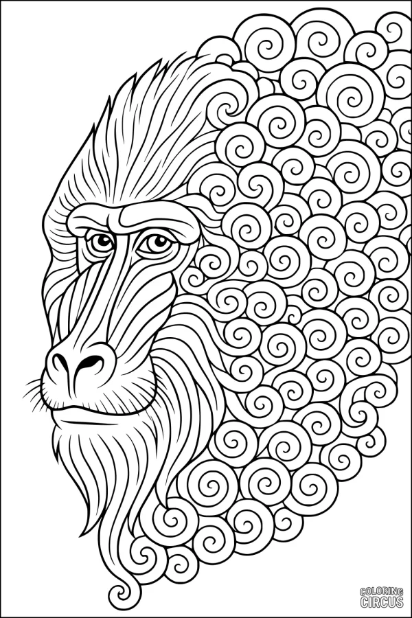 Coloring page featuring a baboon with swirling, curly mane for creative activity and animal appreciation