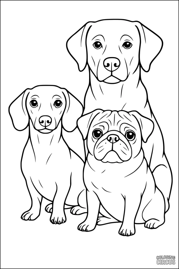 Coloring page with three friendly dogs sitting together