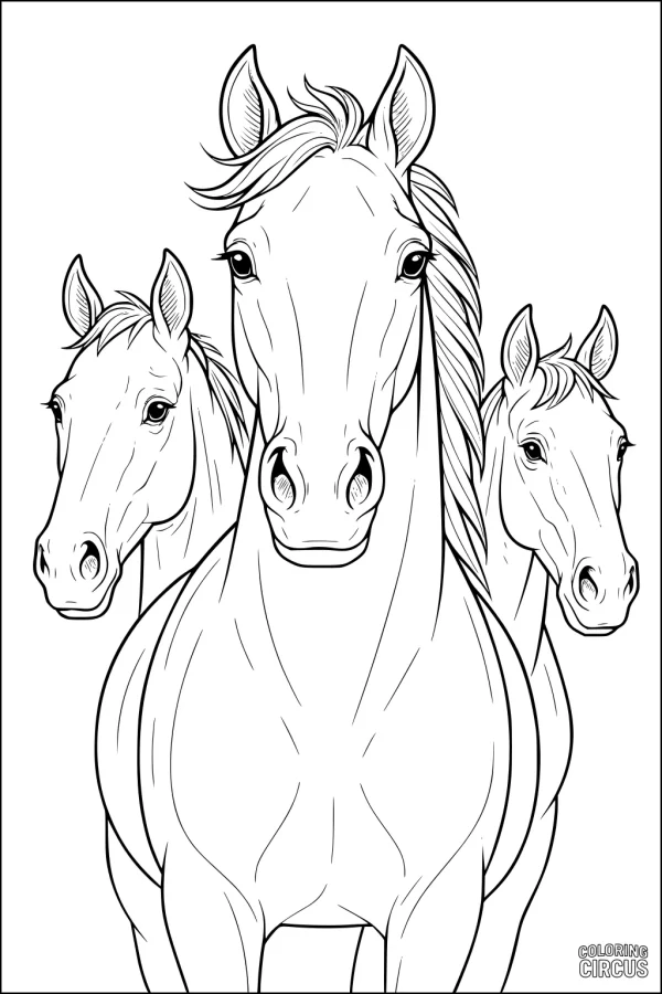 Coloring page showing three horses standing together with detailed features, suitable for kids