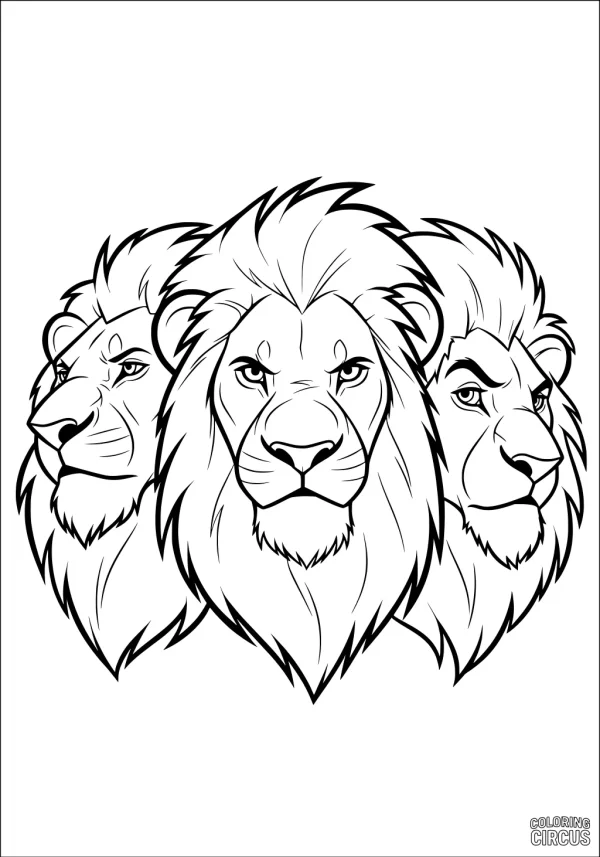 Coloring page featuring three detailed lion heads with flowing manes, facing forward