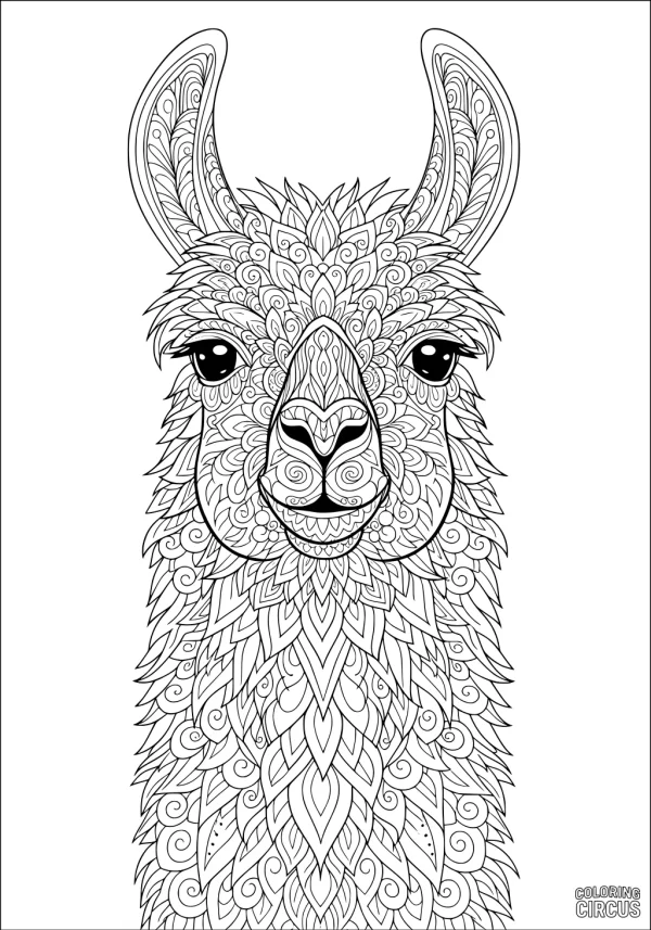 Coloring page featuring a detailed patterned llama with swirly and leafy designs