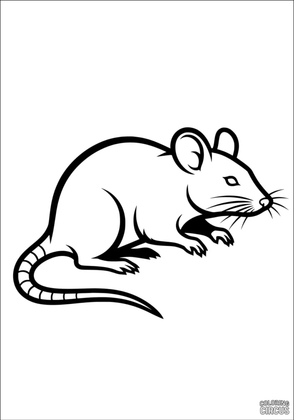 Coloring page of a cute cartoon rat with large ears and a long tail sitting quietly