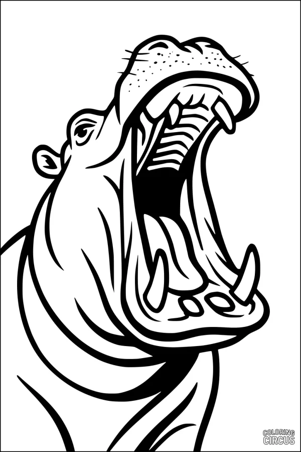 Coloring page of an open-mouthed hippopotamus yawning