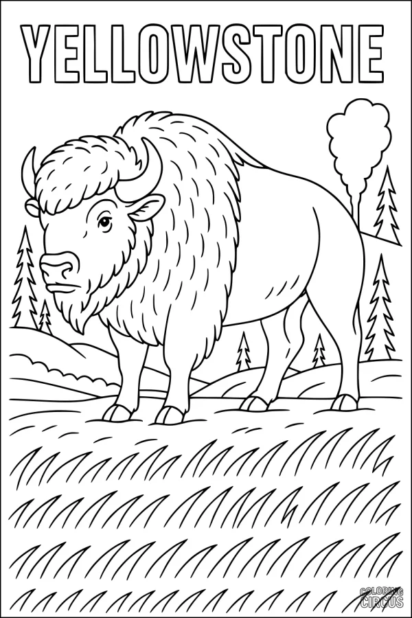 Coloring page of a bison standing in a Yellowstone meadow with pine trees and a geyser in the background.
