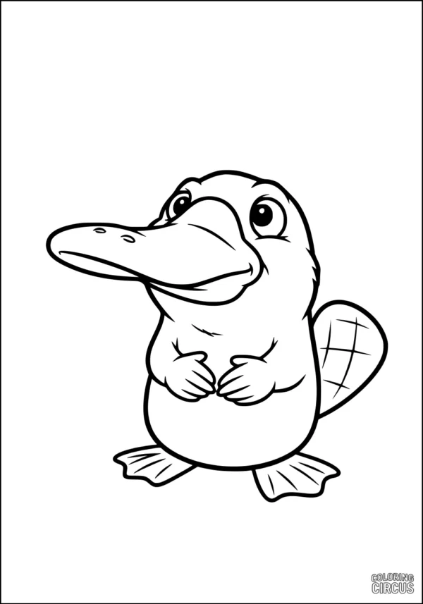 Coloring page of a cute cartoon platypus with a big bill, webbed feet, and a beaver-like tail