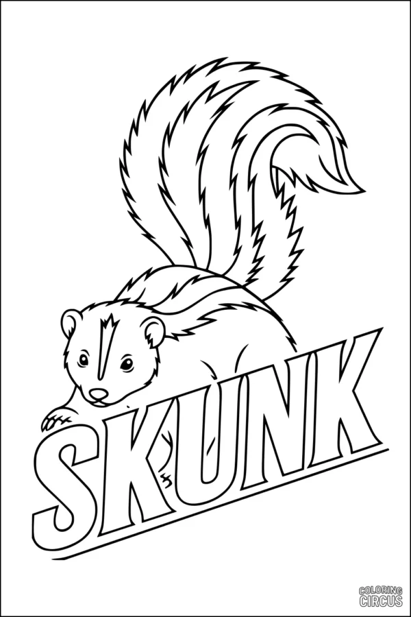 Coloring page of a cute cartoon skunk with fluffy tail and large SKUNK text below