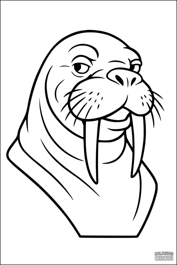 Coloring page featuring a smiling cartoon walrus with tusks and whiskers