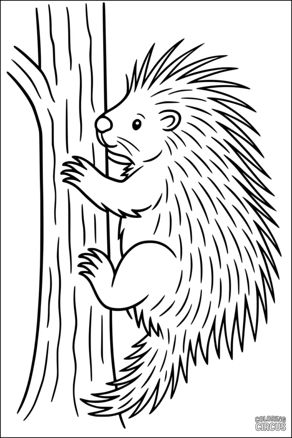 Coloring page features a cartoon porcupine climbing a tree, perfect for young kids and animal lovers