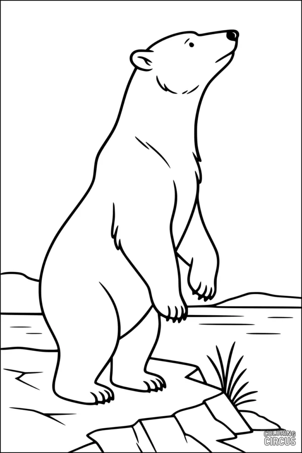Coloring page of a standing polar bear on a rocky shore with arctic scenery in the background