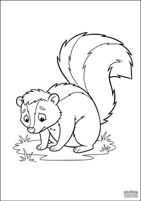 Coloring page of a cute skunk with a bushy tail, looking at grass in a meadow