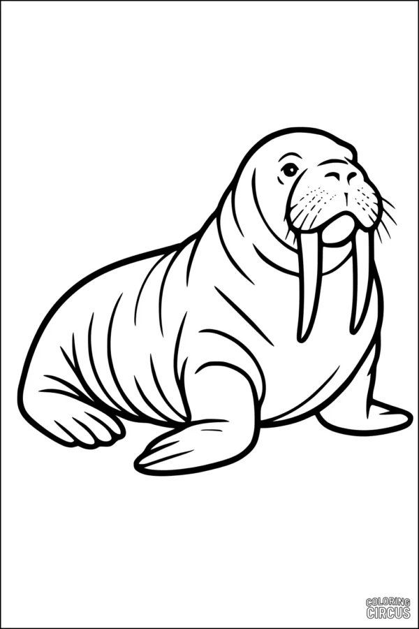 Coloring page of a cartoon walrus with tusks sitting on icy ground, perfect for young children