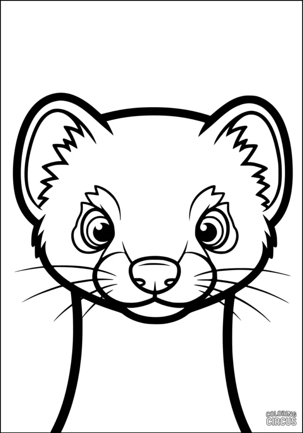 Coloring page of a cute cartoon weasel face for kids