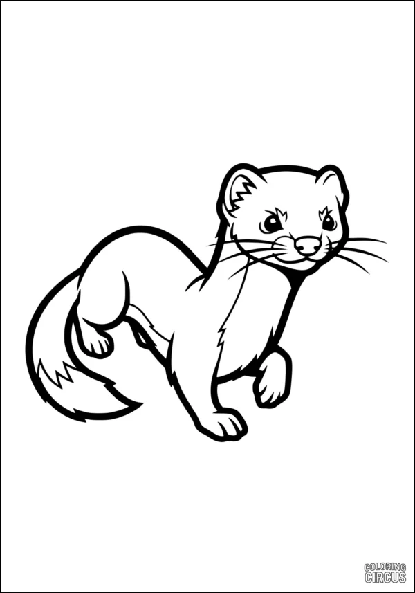 Coloring page featuring a cute cartoon weasel with bright eyes and a bushy tail, suitable for children.