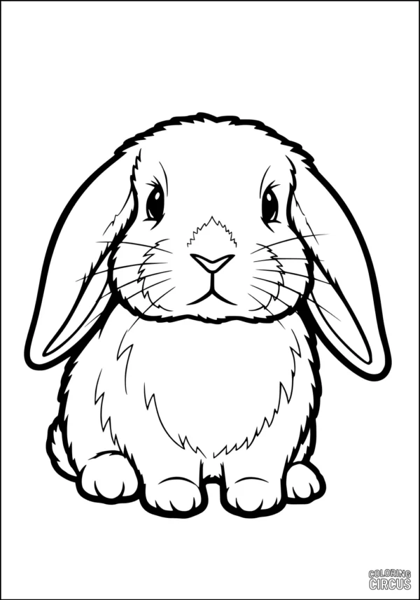 Coloring page of a cute fluffy rabbit with long ears sitting calmly